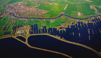 Dutch
